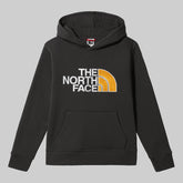 The North Face Men's Classic Logo Hoodie