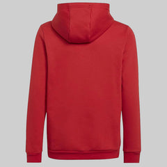 Adidas Unisex Kids Entrada 22 Sweat Hoodie – Soft