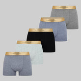 Ed Hardy Rixey Herren-Boxershorts – Multipack