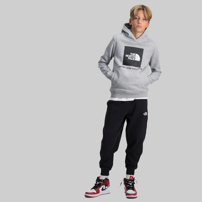 The North Face Boys' Gray Teens Box Pullover Hoodie