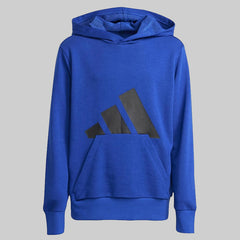 Adidas Essentials Big Logo Hoodie for Unisex Kids