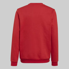 Adidas Men’s Entrada 22 Sweatshirt – Comfortable