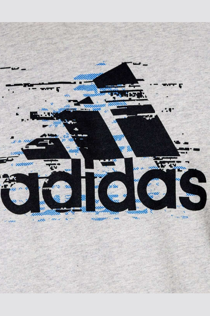 Adidas Men`s Graphic T-Shirt Grey