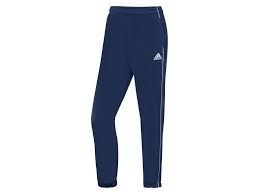 Adidas Core 18 training pants